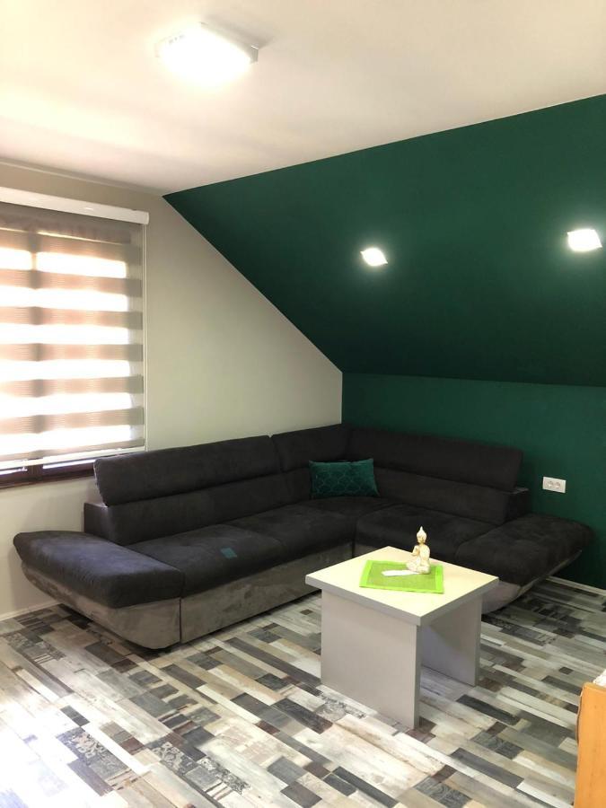 Apartmani Joma Bajina Basta Buitenkant foto